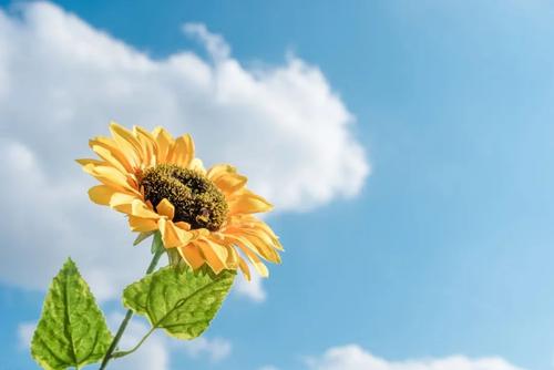 改变自我心像:陈安之《超级成功学》