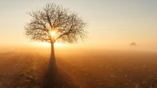 抓住手头的机会,把握住现实中的拥有