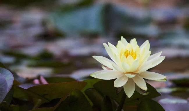 人生智慧：天堂与地狱