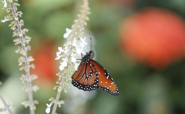 你的愿望，被你自己砍掉了吗？