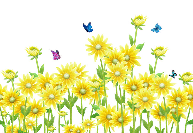 坚持住,不放弃,静下心去做好每一件事