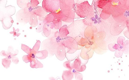 只要你肯耐心守着自己的网,没准你的鱼也会成为别人眼中的奇迹